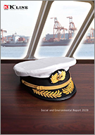 a link to Social and Environmental Report 2009