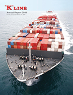 a link to Annual report 2008