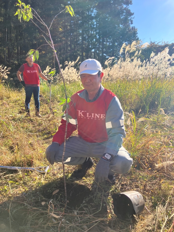 Photo of tree planting