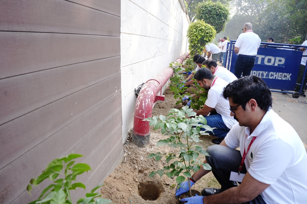 【The picture of Tree Planting】