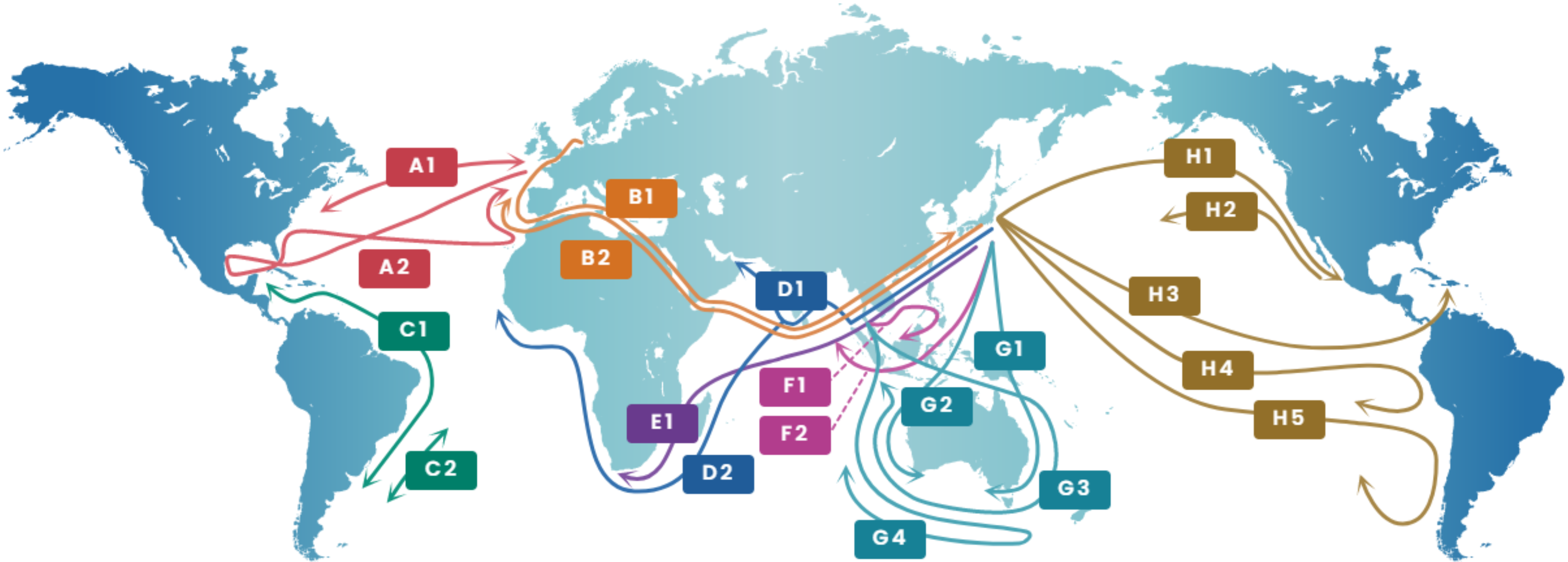 Picture of the service map/ World map showing the trade.