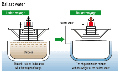 Ballast Water