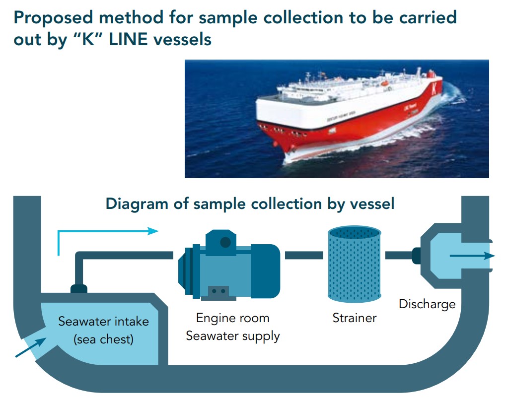 Image of sample collection