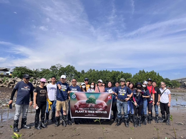 Mangrove Planting