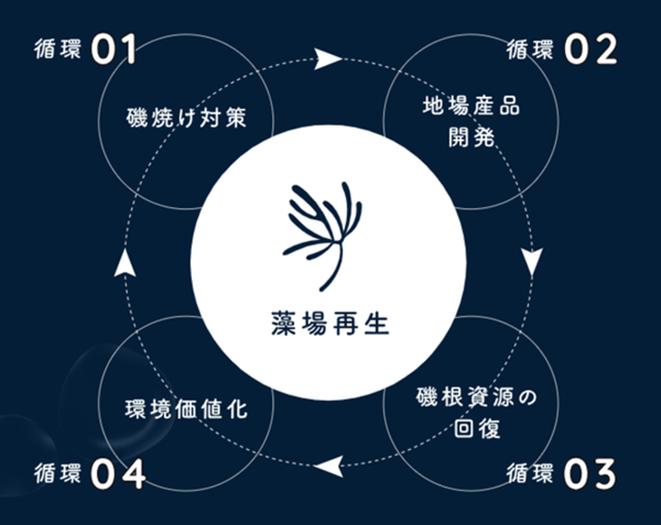 藻場再生のための好循環モデル図