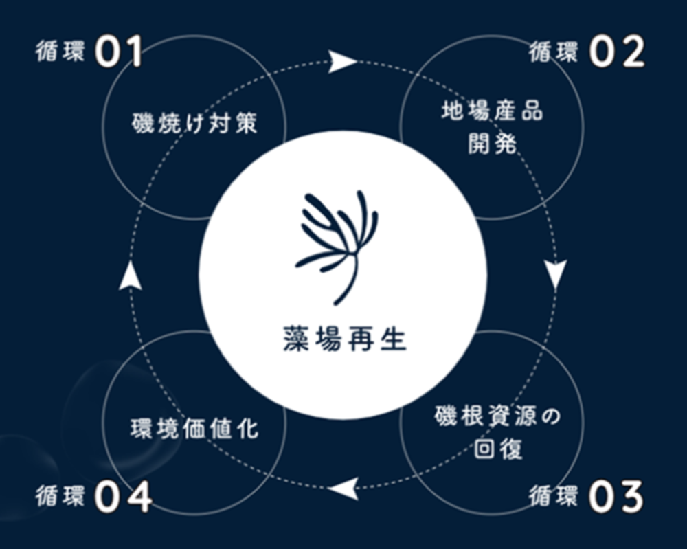 藻場再生の図