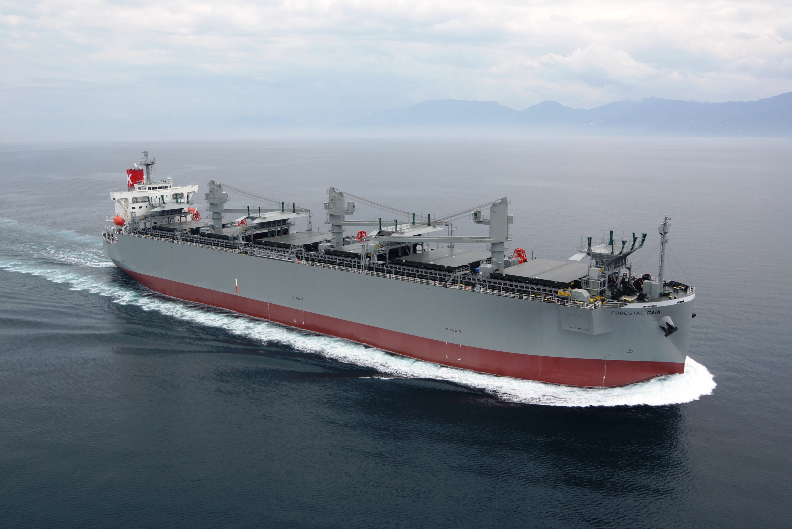 万CFT型木材チップ専用船FORESTAL GAIA号竣工   ドライバルク船