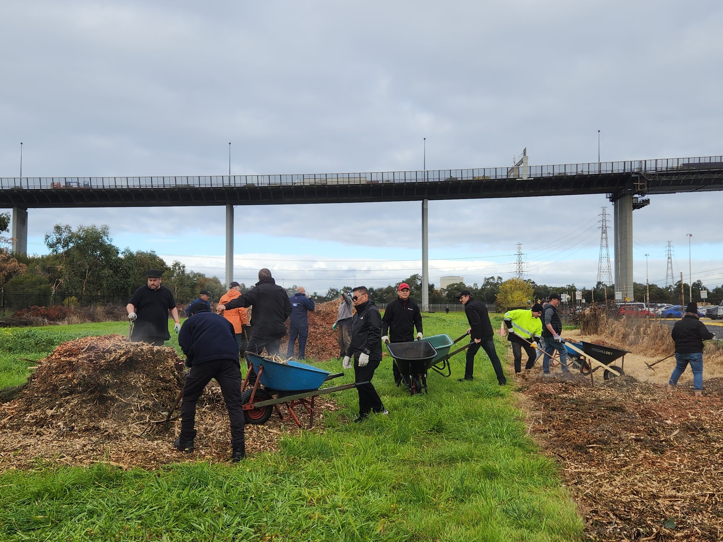 公園での植樹や除草