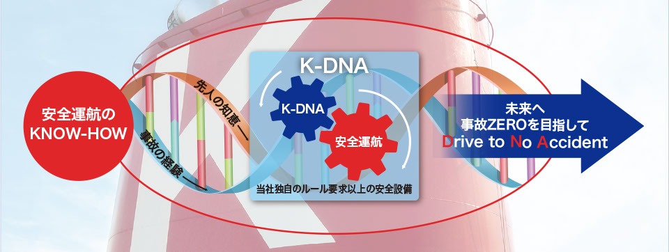 「K-DNA」を説明している図